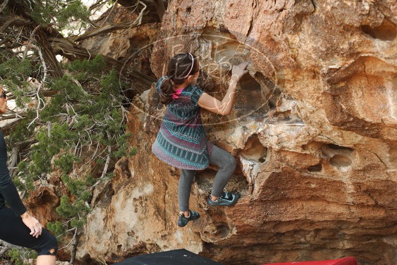 

Filename: SRM_20180310_1610280.jpg
Aperture: f/4.0
Shutter Speed: 1/400
Body: Canon EOS-1D Mark II
Lens: Canon EF 50mm f/1.8 II