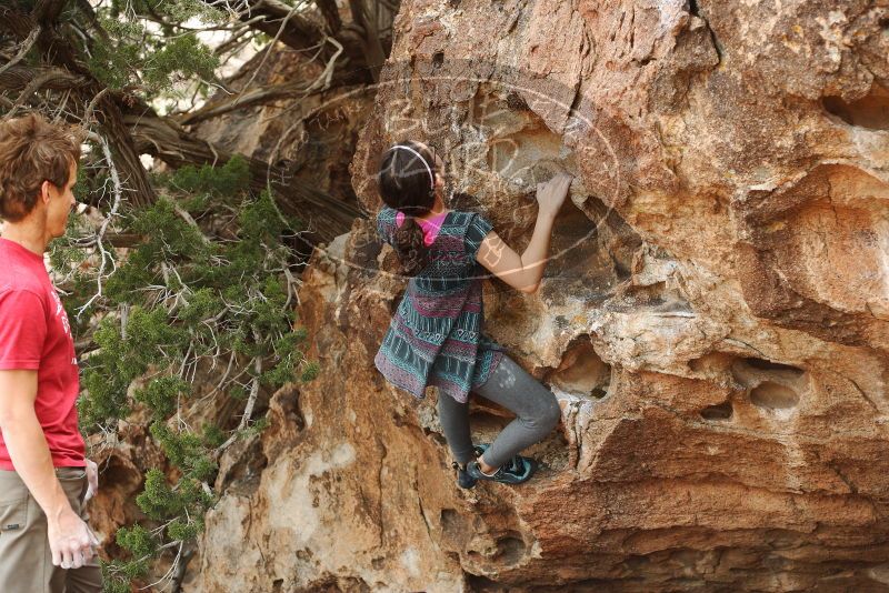 

Filename: SRM_20180310_1611041.jpg
Aperture: f/4.0
Shutter Speed: 1/400
Body: Canon EOS-1D Mark II
Lens: Canon EF 50mm f/1.8 II