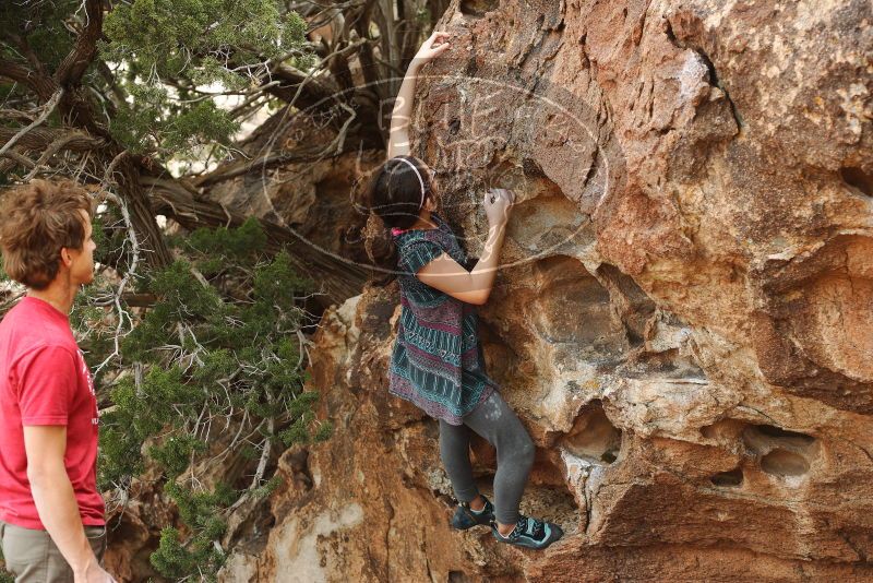 

Filename: SRM_20180310_1611100.jpg
Aperture: f/4.0
Shutter Speed: 1/500
Body: Canon EOS-1D Mark II
Lens: Canon EF 50mm f/1.8 II