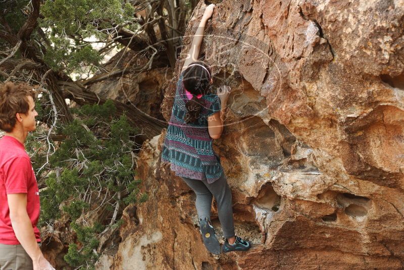 

Filename: SRM_20180310_1611112.jpg
Aperture: f/4.0
Shutter Speed: 1/500
Body: Canon EOS-1D Mark II
Lens: Canon EF 50mm f/1.8 II