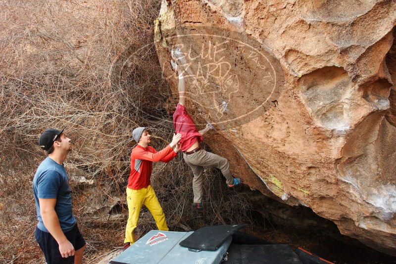 

Filename: SRM_20180310_1648462.jpg
Aperture: f/4.0
Shutter Speed: 1/1250
Body: Canon EOS-1D Mark II
Lens: Canon EF 16-35mm f/2.8 L