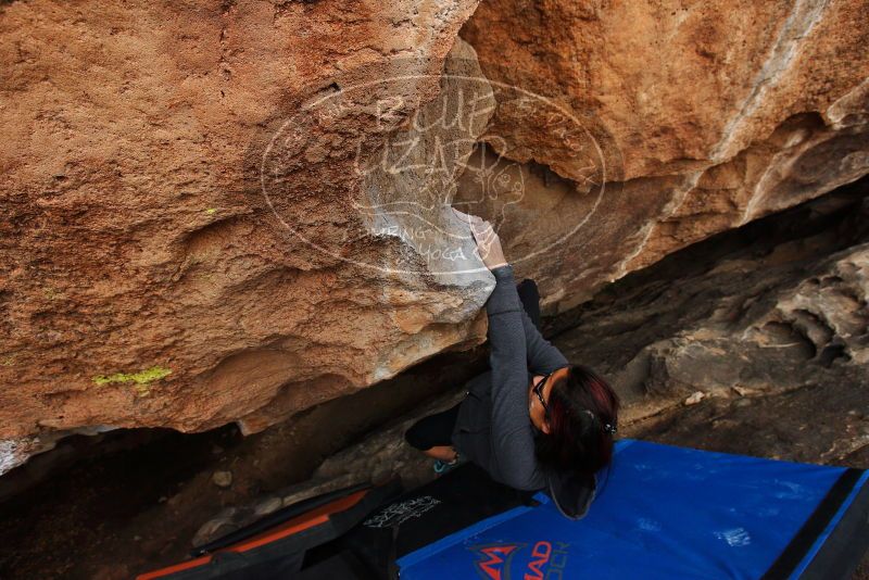 

Filename: SRM_20180310_1654400.jpg
Aperture: f/5.6
Shutter Speed: 1/320
Body: Canon EOS-1D Mark II
Lens: Canon EF 16-35mm f/2.8 L