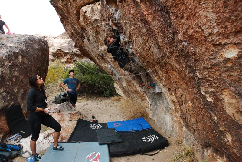 

Filename: SRM_20180310_1808070.jpg
Aperture: f/5.6
Shutter Speed: 1/320
Body: Canon EOS-1D Mark II
Lens: Canon EF 16-35mm f/2.8 L