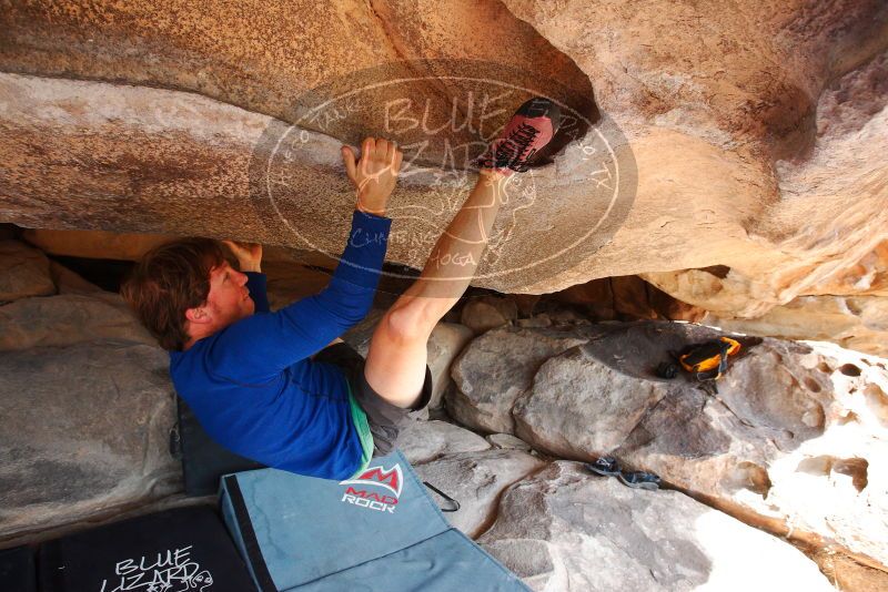 

Filename: SRM_20180310_1200530.jpg
Aperture: f/5.6
Shutter Speed: 1/400
Body: Canon EOS-1D Mark II
Lens: Canon EF 16-35mm f/2.8 L