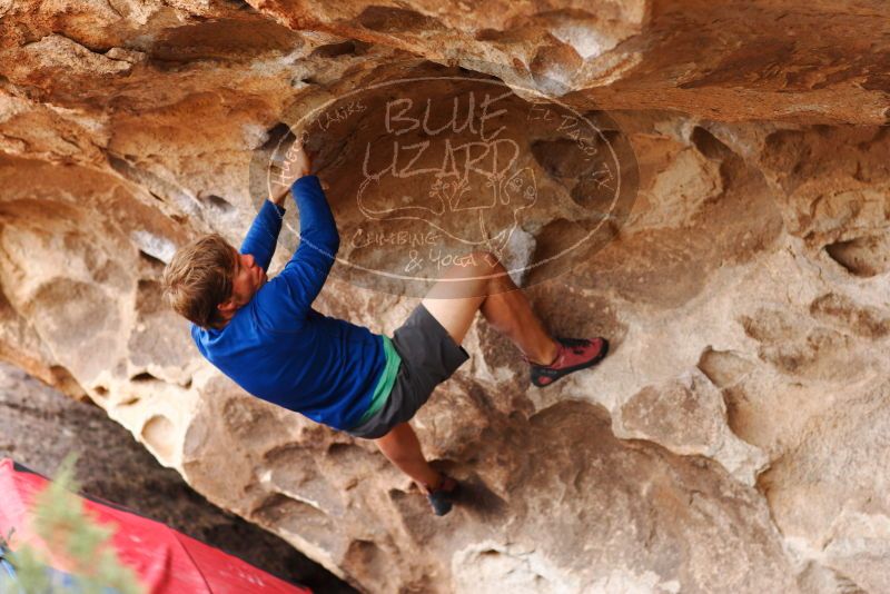 

Filename: SRM_20180310_1433590.jpg
Aperture: f/2.8
Shutter Speed: 1/320
Body: Canon EOS-1D Mark II
Lens: Canon EF 85mm f/1.2 L II