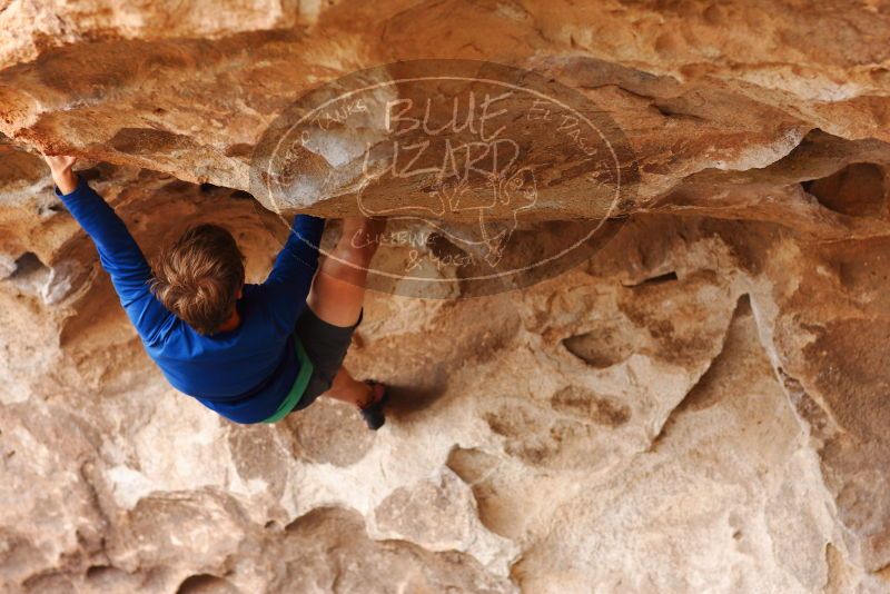 

Filename: SRM_20180310_1434110.jpg
Aperture: f/2.8
Shutter Speed: 1/320
Body: Canon EOS-1D Mark II
Lens: Canon EF 85mm f/1.2 L II