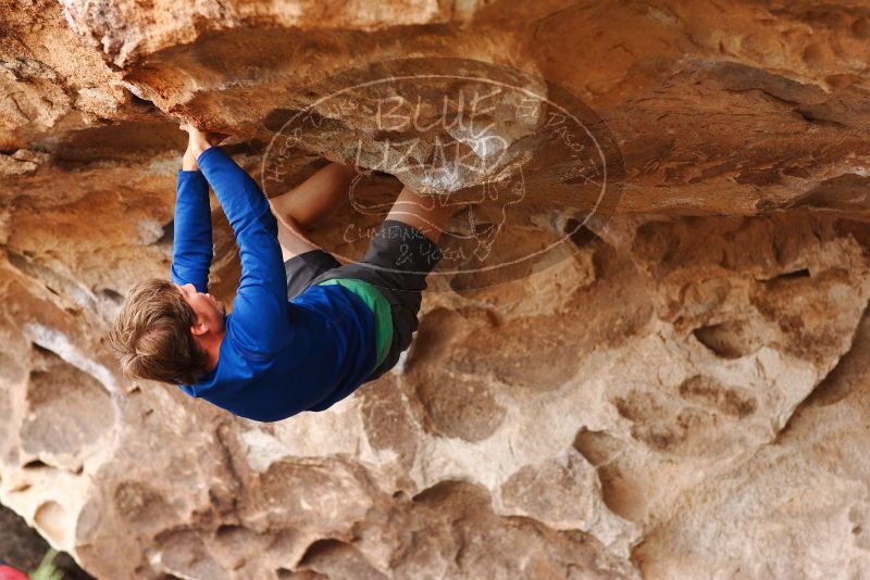 

Filename: SRM_20180310_1434150.jpg
Aperture: f/2.8
Shutter Speed: 1/400
Body: Canon EOS-1D Mark II
Lens: Canon EF 85mm f/1.2 L II