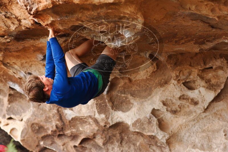 

Filename: SRM_20180310_1434151.jpg
Aperture: f/2.8
Shutter Speed: 1/400
Body: Canon EOS-1D Mark II
Lens: Canon EF 85mm f/1.2 L II