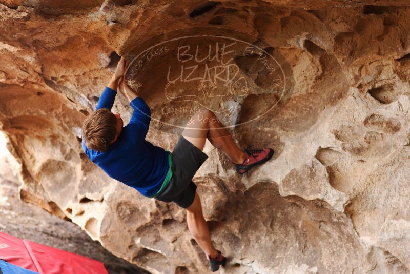 

Filename: SRM_20180310_1448050.jpg
Aperture: f/2.8
Shutter Speed: 1/400
Body: Canon EOS-1D Mark II
Lens: Canon EF 85mm f/1.2 L II