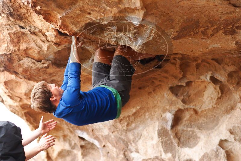 

Filename: SRM_20180310_1448260.jpg
Aperture: f/2.8
Shutter Speed: 1/320
Body: Canon EOS-1D Mark II
Lens: Canon EF 85mm f/1.2 L II