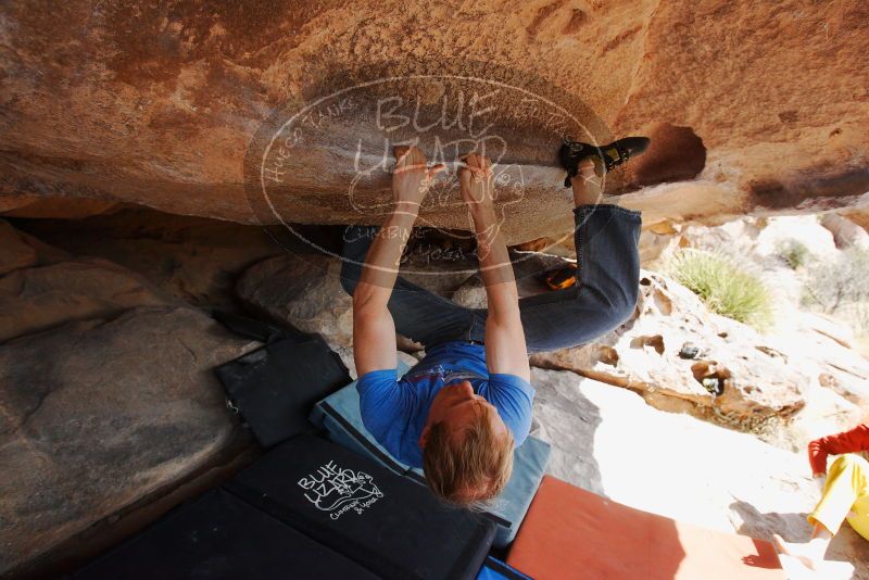 

Filename: SRM_20180310_1152390.jpg
Aperture: f/5.6
Shutter Speed: 1/640
Body: Canon EOS-1D Mark II
Lens: Canon EF 16-35mm f/2.8 L