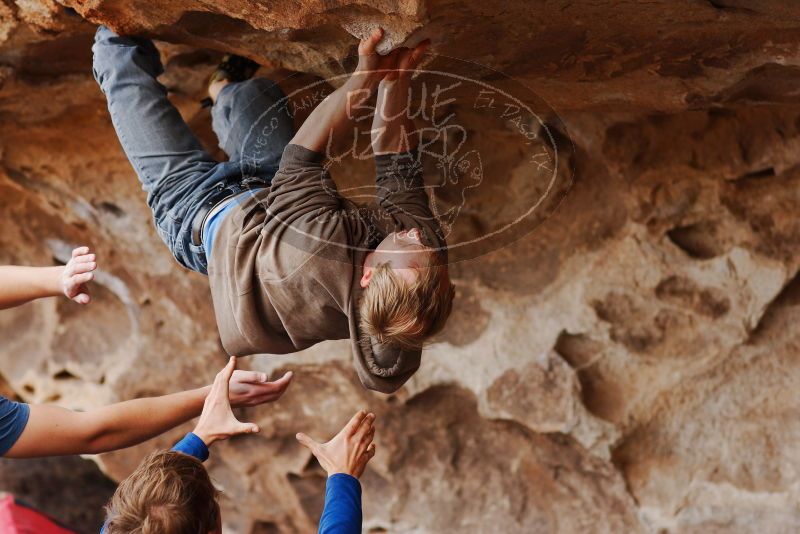 

Filename: SRM_20180310_1431280.jpg
Aperture: f/2.8
Shutter Speed: 1/500
Body: Canon EOS-1D Mark II
Lens: Canon EF 85mm f/1.2 L II