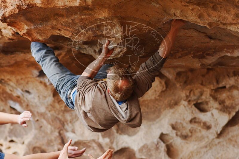 

Filename: SRM_20180310_1431300.jpg
Aperture: f/2.8
Shutter Speed: 1/320
Body: Canon EOS-1D Mark II
Lens: Canon EF 85mm f/1.2 L II