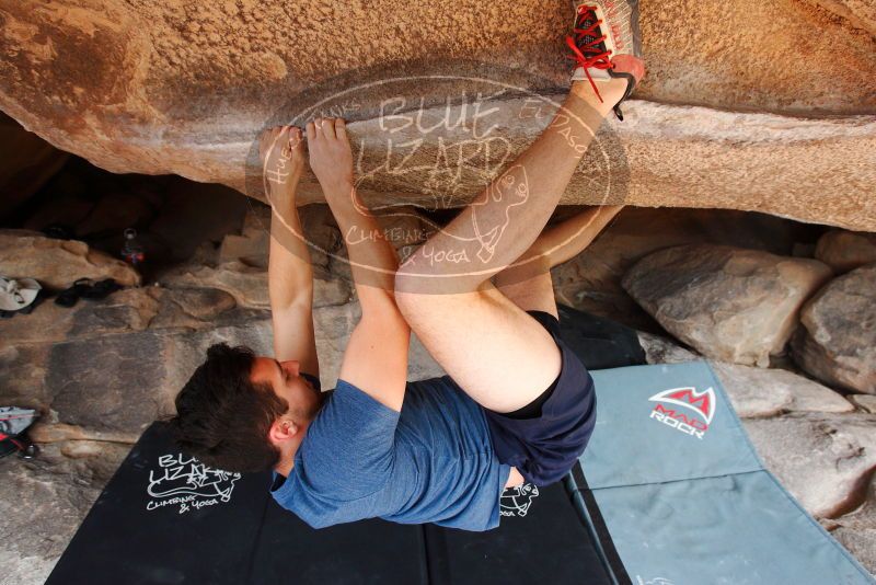 

Filename: SRM_20180310_1138090.jpg
Aperture: f/5.6
Shutter Speed: 1/320
Body: Canon EOS-1D Mark II
Lens: Canon EF 16-35mm f/2.8 L