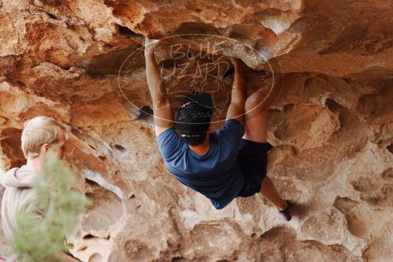 

Filename: SRM_20180310_1429070.jpg
Aperture: f/2.8
Shutter Speed: 1/320
Body: Canon EOS-1D Mark II
Lens: Canon EF 85mm f/1.2 L II