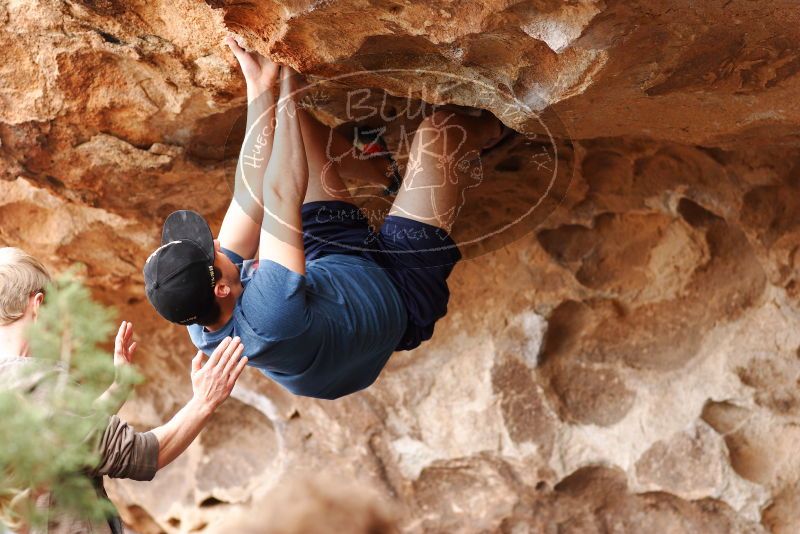 

Filename: SRM_20180310_1429140.jpg
Aperture: f/2.8
Shutter Speed: 1/400
Body: Canon EOS-1D Mark II
Lens: Canon EF 85mm f/1.2 L II