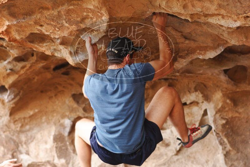 

Filename: SRM_20180310_1429451.jpg
Aperture: f/2.8
Shutter Speed: 1/320
Body: Canon EOS-1D Mark II
Lens: Canon EF 85mm f/1.2 L II