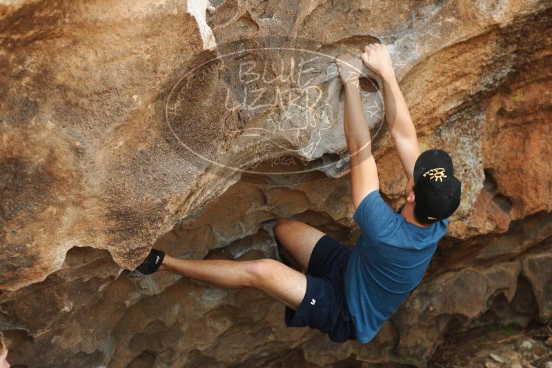 

Filename: SRM_20180310_1534260.jpg
Aperture: f/4.0
Shutter Speed: 1/500
Body: Canon EOS-1D Mark II
Lens: Canon EF 50mm f/1.8 II