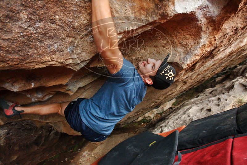 

Filename: SRM_20180310_1644220.jpg
Aperture: f/4.0
Shutter Speed: 1/320
Body: Canon EOS-1D Mark II
Lens: Canon EF 16-35mm f/2.8 L