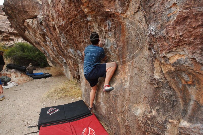 

Filename: SRM_20180310_1821490.jpg
Aperture: f/5.6
Shutter Speed: 1/200
Body: Canon EOS-1D Mark II
Lens: Canon EF 16-35mm f/2.8 L