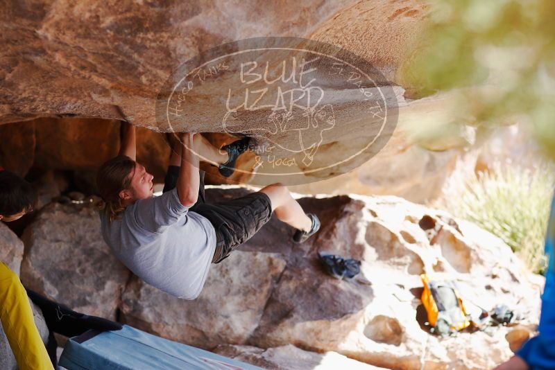 

Filename: SRM_20180310_1108310.jpg
Aperture: f/2.8
Shutter Speed: 1/800
Body: Canon EOS-1D Mark II
Lens: Canon EF 85mm f/1.2 L II