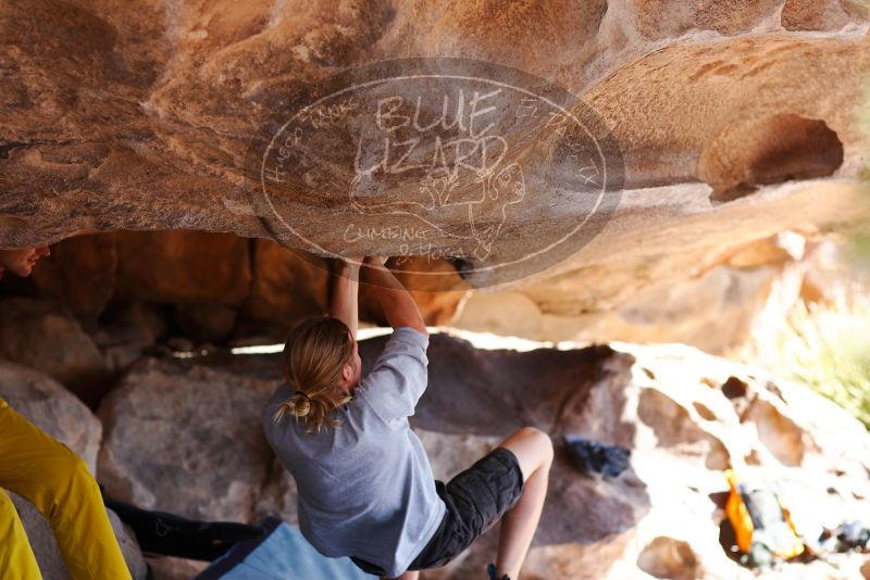 

Filename: SRM_20180310_1108350.jpg
Aperture: f/2.8
Shutter Speed: 1/640
Body: Canon EOS-1D Mark II
Lens: Canon EF 85mm f/1.2 L II