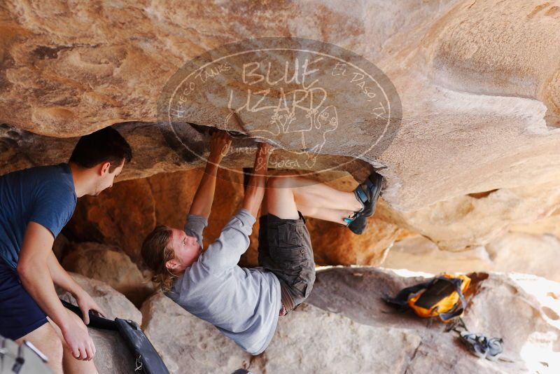 

Filename: SRM_20180310_1118590.jpg
Aperture: f/4.0
Shutter Speed: 1/320
Body: Canon EOS-1D Mark II
Lens: Canon EF 85mm f/1.2 L II