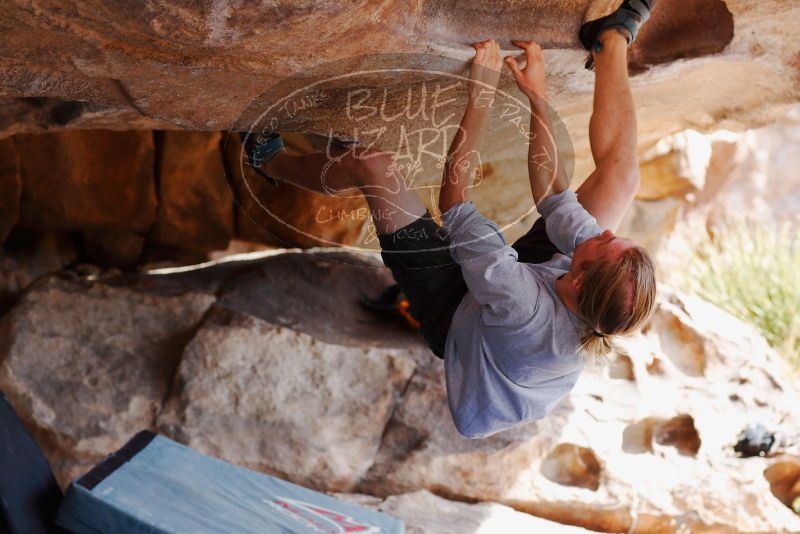 

Filename: SRM_20180310_1119200.jpg
Aperture: f/4.0
Shutter Speed: 1/800
Body: Canon EOS-1D Mark II
Lens: Canon EF 85mm f/1.2 L II