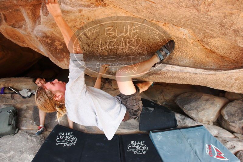 

Filename: SRM_20180310_1128580.jpg
Aperture: f/5.6
Shutter Speed: 1/320
Body: Canon EOS-1D Mark II
Lens: Canon EF 16-35mm f/2.8 L