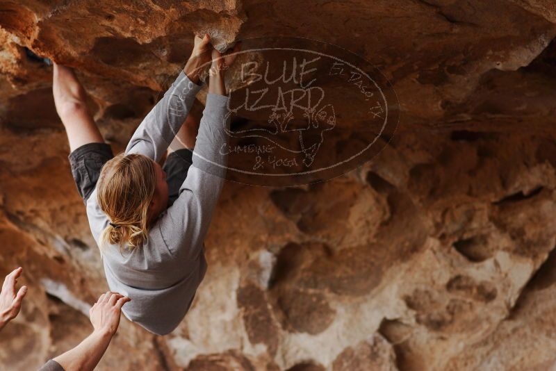 

Filename: SRM_20180310_1445040.jpg
Aperture: f/2.8
Shutter Speed: 1/500
Body: Canon EOS-1D Mark II
Lens: Canon EF 85mm f/1.2 L II