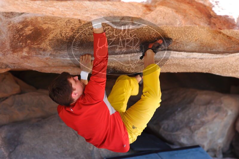 

Filename: SRM_20180310_1100061.jpg
Aperture: f/2.8
Shutter Speed: 1/320
Body: Canon EOS-1D Mark II
Lens: Canon EF 85mm f/1.2 L II