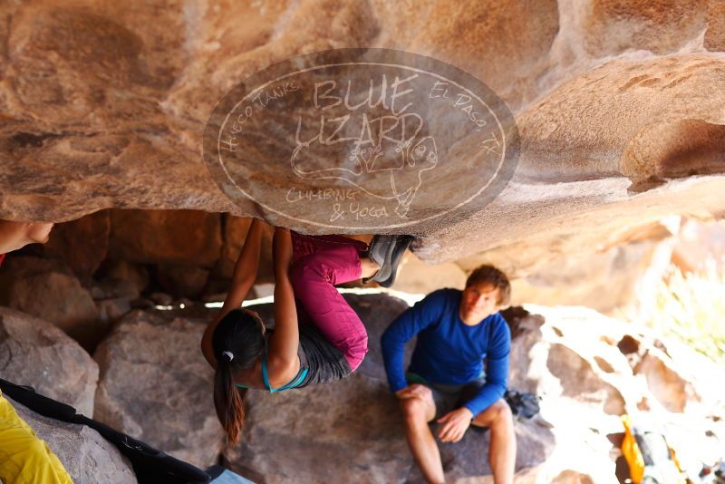 

Filename: SRM_20180310_1106300.jpg
Aperture: f/2.5
Shutter Speed: 1/640
Body: Canon EOS-1D Mark II
Lens: Canon EF 85mm f/1.2 L II