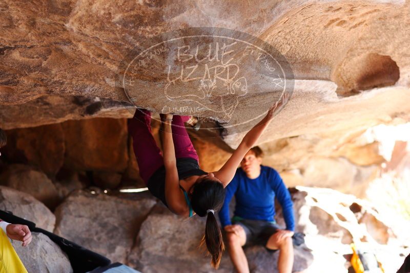 

Filename: SRM_20180310_1106490.jpg
Aperture: f/2.8
Shutter Speed: 1/500
Body: Canon EOS-1D Mark II
Lens: Canon EF 85mm f/1.2 L II