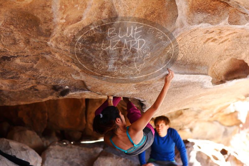 

Filename: SRM_20180310_1106510.jpg
Aperture: f/2.8
Shutter Speed: 1/500
Body: Canon EOS-1D Mark II
Lens: Canon EF 85mm f/1.2 L II