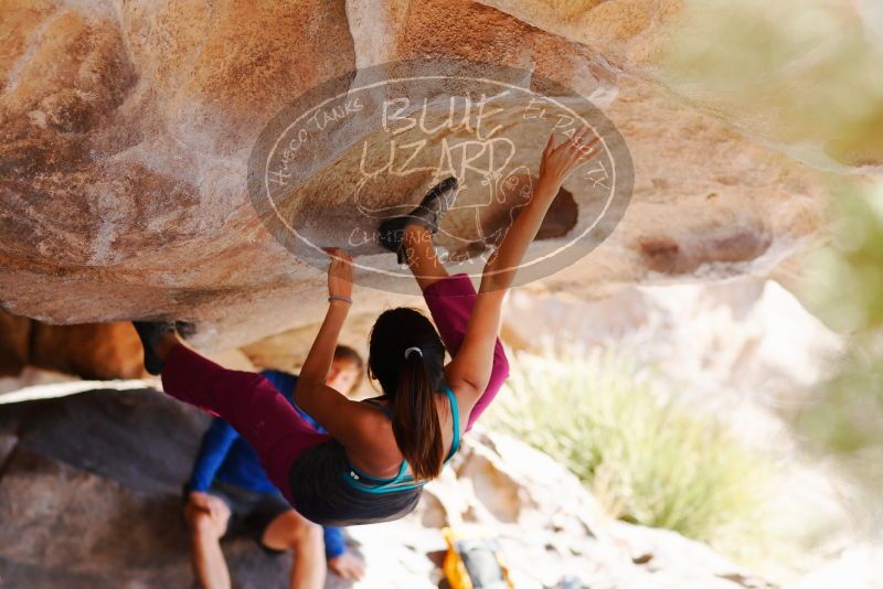 

Filename: SRM_20180310_1107081.jpg
Aperture: f/2.8
Shutter Speed: 1/1250
Body: Canon EOS-1D Mark II
Lens: Canon EF 85mm f/1.2 L II