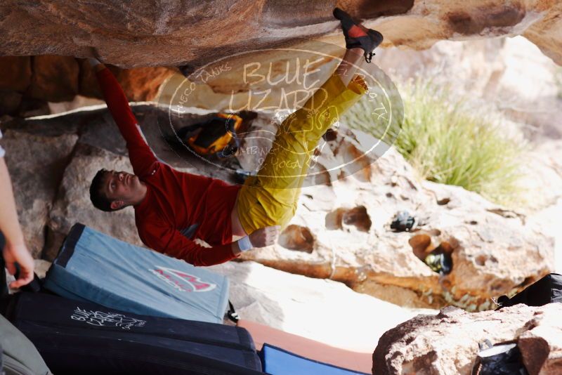 

Filename: SRM_20180310_1117270.jpg
Aperture: f/4.0
Shutter Speed: 1/640
Body: Canon EOS-1D Mark II
Lens: Canon EF 85mm f/1.2 L II