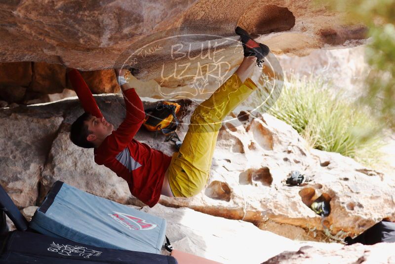 

Filename: SRM_20180310_1117300.jpg
Aperture: f/4.0
Shutter Speed: 1/640
Body: Canon EOS-1D Mark II
Lens: Canon EF 85mm f/1.2 L II