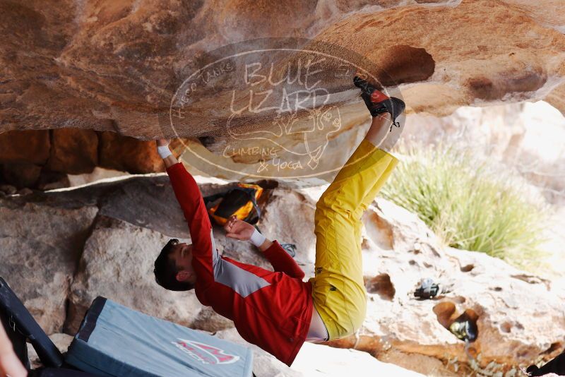 

Filename: SRM_20180310_1117390.jpg
Aperture: f/4.0
Shutter Speed: 1/500
Body: Canon EOS-1D Mark II
Lens: Canon EF 85mm f/1.2 L II