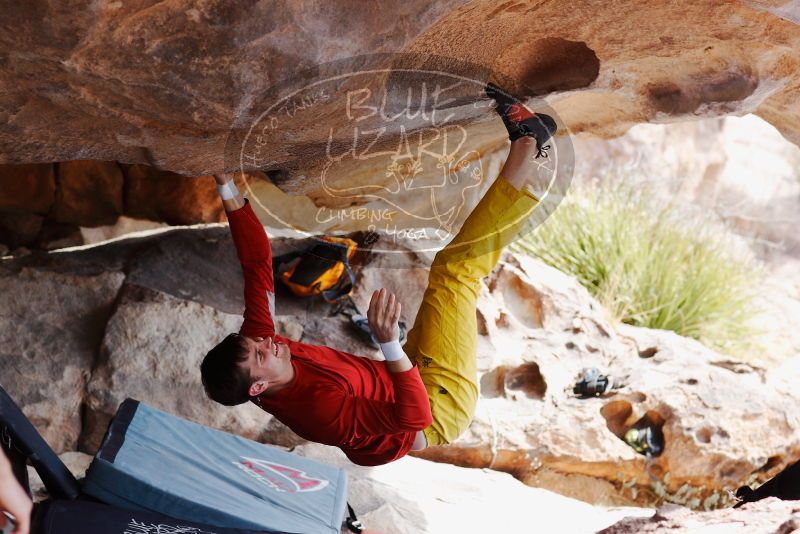 

Filename: SRM_20180310_1117410.jpg
Aperture: f/4.0
Shutter Speed: 1/640
Body: Canon EOS-1D Mark II
Lens: Canon EF 85mm f/1.2 L II