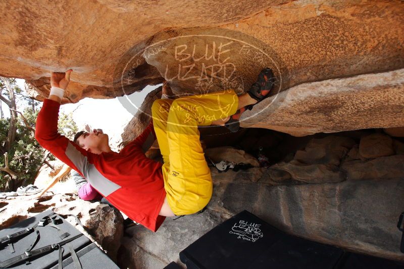 

Filename: SRM_20180310_1126200.jpg
Aperture: f/5.6
Shutter Speed: 1/800
Body: Canon EOS-1D Mark II
Lens: Canon EF 16-35mm f/2.8 L