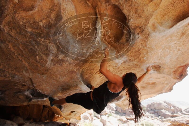 

Filename: SRM_20180310_1151080.jpg
Aperture: f/5.6
Shutter Speed: 1/500
Body: Canon EOS-1D Mark II
Lens: Canon EF 16-35mm f/2.8 L