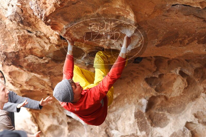 

Filename: SRM_20180310_1423590.jpg
Aperture: f/2.8
Shutter Speed: 1/400
Body: Canon EOS-1D Mark II
Lens: Canon EF 85mm f/1.2 L II