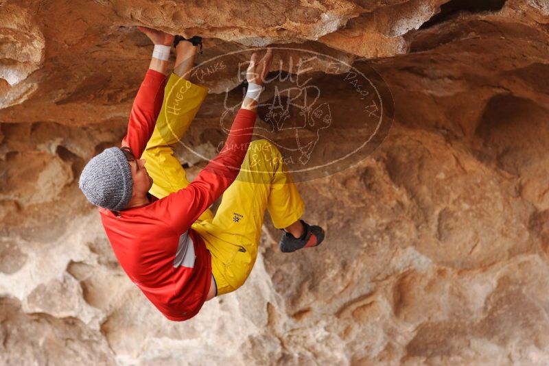 

Filename: SRM_20180310_1424380.jpg
Aperture: f/2.8
Shutter Speed: 1/400
Body: Canon EOS-1D Mark II
Lens: Canon EF 85mm f/1.2 L II