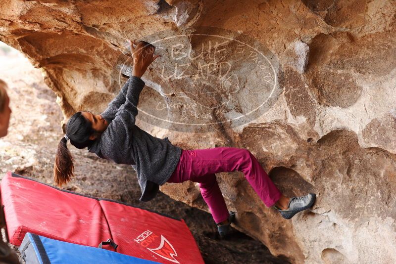 

Filename: SRM_20180310_1426340.jpg
Aperture: f/2.8
Shutter Speed: 1/400
Body: Canon EOS-1D Mark II
Lens: Canon EF 85mm f/1.2 L II