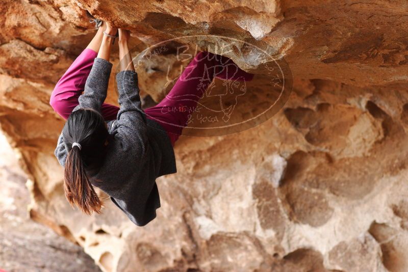 

Filename: SRM_20180310_1457531.jpg
Aperture: f/3.2
Shutter Speed: 1/500
Body: Canon EOS-1D Mark II
Lens: Canon EF 85mm f/1.2 L II