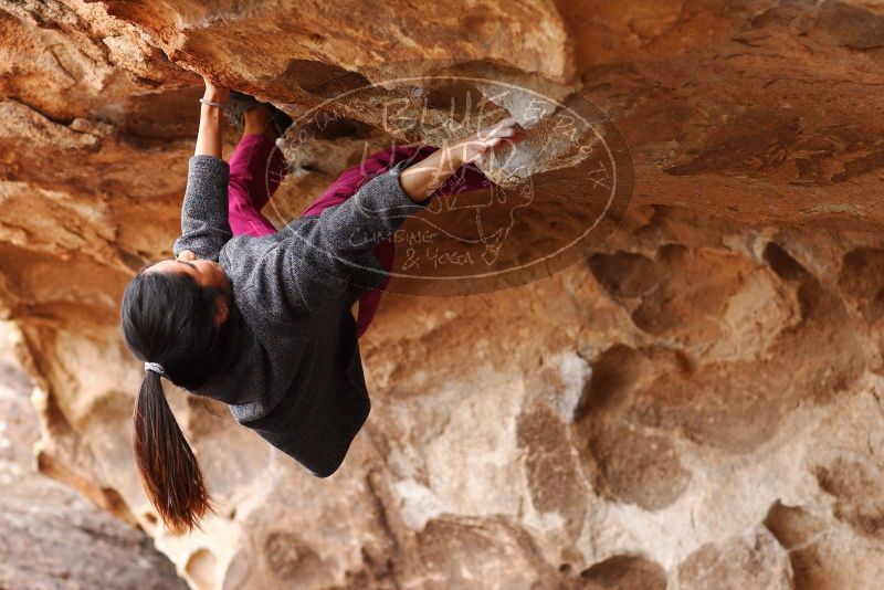 

Filename: SRM_20180310_1458080.jpg
Aperture: f/3.2
Shutter Speed: 1/500
Body: Canon EOS-1D Mark II
Lens: Canon EF 85mm f/1.2 L II