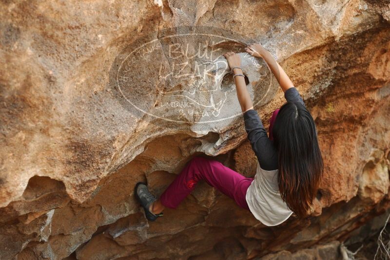 

Filename: SRM_20180310_1556570.jpg
Aperture: f/4.0
Shutter Speed: 1/500
Body: Canon EOS-1D Mark II
Lens: Canon EF 50mm f/1.8 II