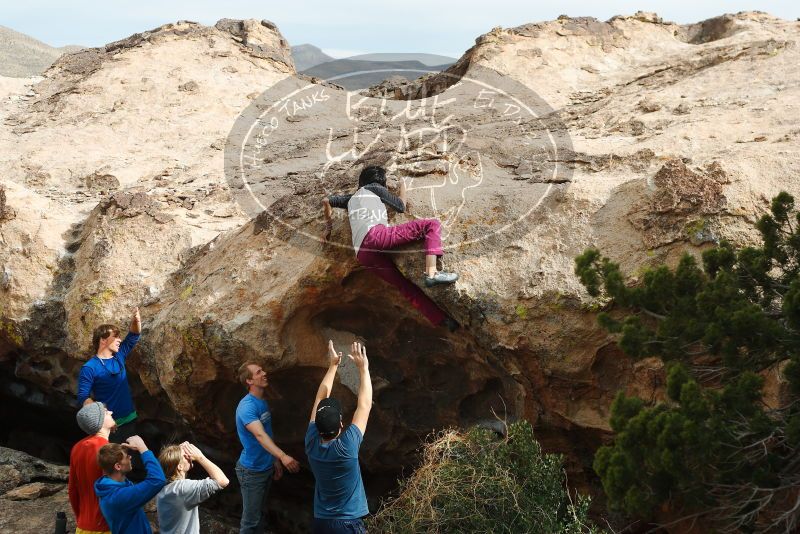 

Filename: SRM_20180310_1605020.jpg
Aperture: f/4.0
Shutter Speed: 1/1600
Body: Canon EOS-1D Mark II
Lens: Canon EF 50mm f/1.8 II