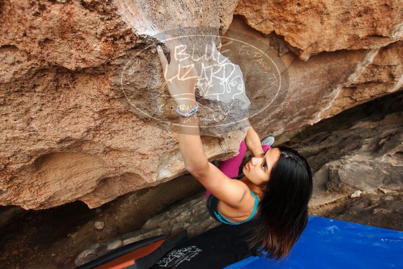 

Filename: SRM_20180310_1658310.jpg
Aperture: f/5.6
Shutter Speed: 1/160
Body: Canon EOS-1D Mark II
Lens: Canon EF 16-35mm f/2.8 L