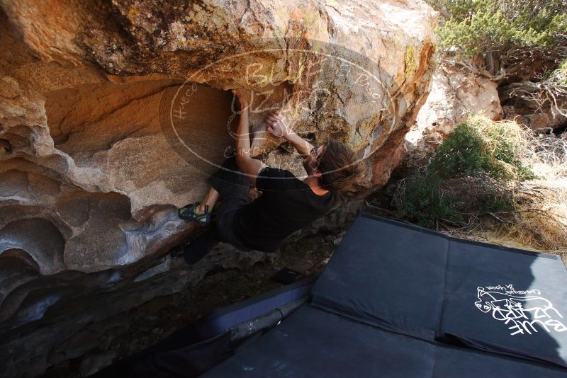 

Filename: SRM_20180314_1304340.jpg
Aperture: f/5.6
Shutter Speed: 1/320
Body: Canon EOS-1D Mark II
Lens: Canon EF 16-35mm f/2.8 L